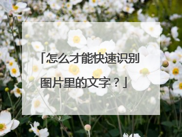 怎么才能快速识别图片里的文字？