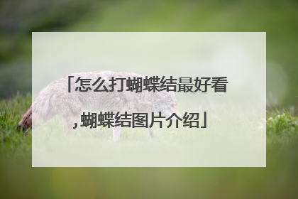 怎么打蝴蝶结最好看,蝴蝶结图片介绍