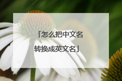 怎么把中文名转换成英文名