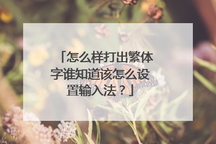 怎么样打出繁体字谁知道该怎么设置输入法？