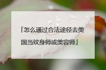 怎么通过合法途径去美国当纹身师或美容师