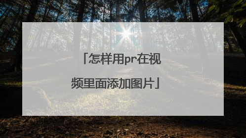 怎样用pr在视频里面添加图片