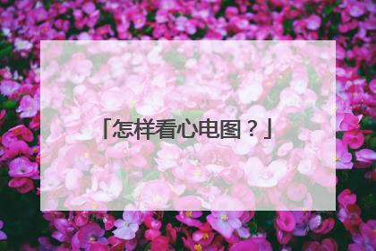 怎样看心电图？