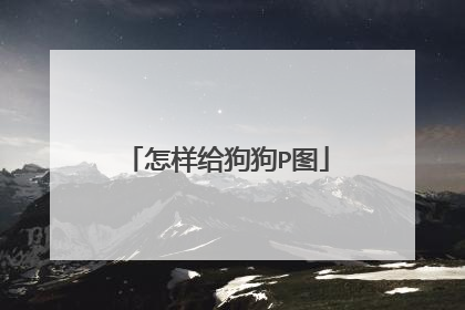 怎样给狗狗P图