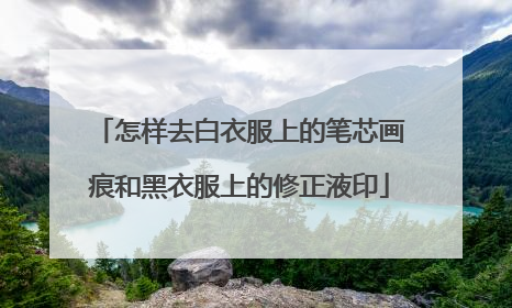 怎样去白衣服上的笔芯画痕和黑衣服上的修正液印