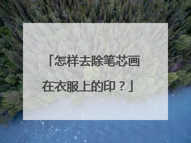怎样去除笔芯画在衣服上的印？