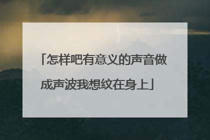 怎样吧有意义的声音做成声波我想纹在身上