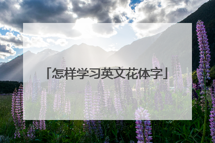 怎样学习英文花体字