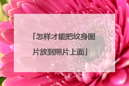 怎样才能把纹身图片放到照片上面