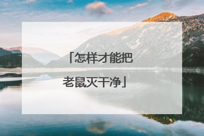 怎样才能把老鼠灭干净