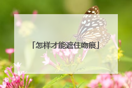 怎样才能遮住吻痕