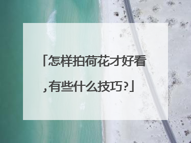 怎样拍荷花才好看,有些什么技巧?