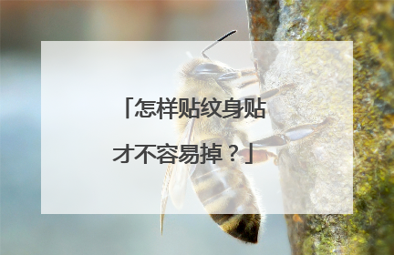 怎样贴纹身贴才不容易掉？