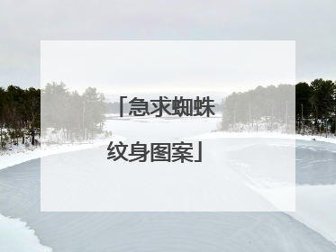 急求蜘蛛纹身图案