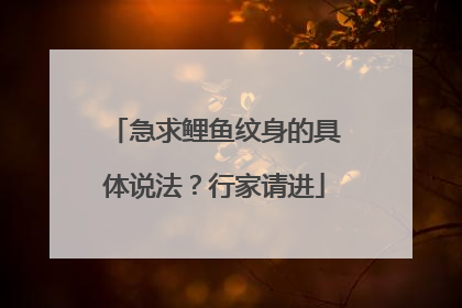 急求鲤鱼纹身的具体说法？行家请进