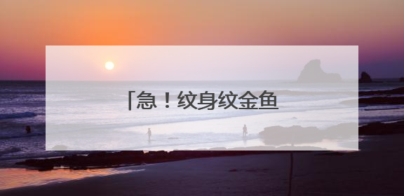 急！纹身纹金鱼有什么说法吗？