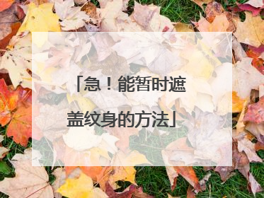 急!能暂时遮盖纹身的方法