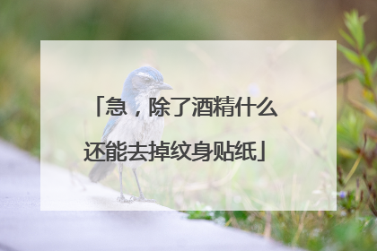 急，除了酒精什么还能去掉纹身贴纸