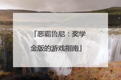 恶霸鲁尼：奖学金版的游戏指南