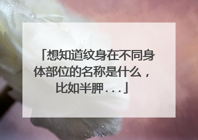 想知道纹身在不同身体部位的名称是什么，比如半胛...