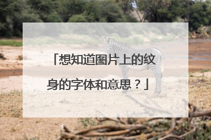 想知道图片上的纹身的字体和意思？