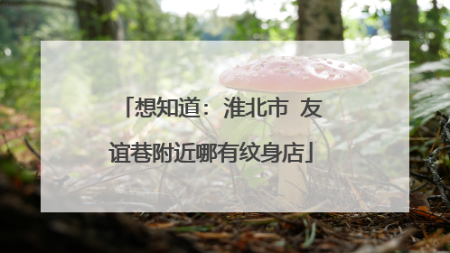 想知道: 淮北市 友谊巷附近哪有纹身店