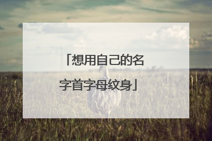 想用自己的名字首字母纹身