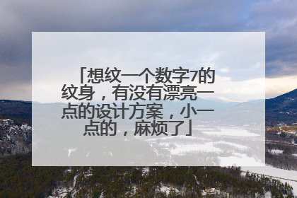 想纹一个数字7的纹身,有没有漂亮一点的设计方案,小一点的,麻烦了