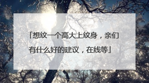 想纹一个高大上纹身，亲们有什么好的建议，在线等