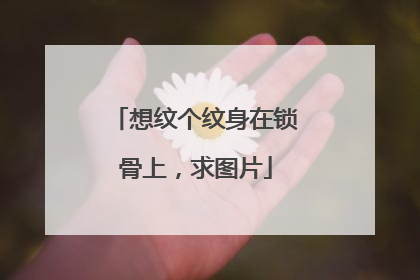 想纹个纹身在锁骨上，求图片