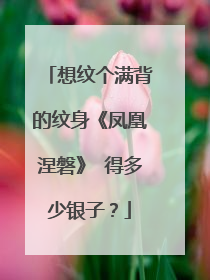 想纹个满背的纹身《凤凰涅磐》 得多少银子？
