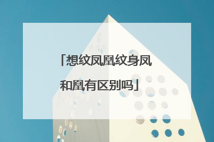 想纹凤凰纹身凤和凰有区别吗