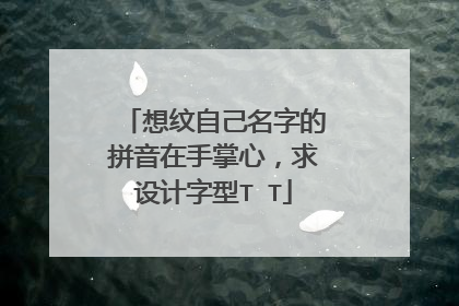 想纹自己名字的拼音在手掌心,求设计字型T T