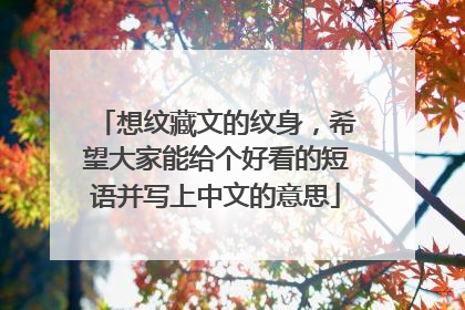 想纹藏文的纹身，希望大家能给个好看的短语并写上中文的意思