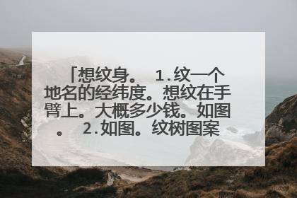 想纹身。 1.纹一个地名的经纬度。想纹在手臂上。大概多少钱。如图。 2.如图。纹树图案的话多少钱。