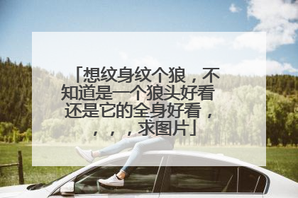 想纹身纹个狼，不知道是一个狼头好看还是它的全身好看，，，，求图片