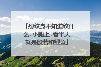 想纹身不知道纹什么.小腿上.看半天就是般若和鲤鱼