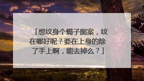 想纹身个蝎子图案，纹在哪好呢？要在上身的除了手上啊，能去掉么？