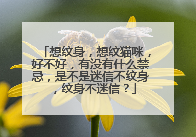 想纹身,想纹猫咪,好不好,有没有什么禁忌,是不是迷信不纹身,纹身不迷信?