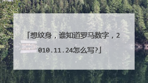 想纹身，谁知道罗马数字，2010.11.24怎么写?