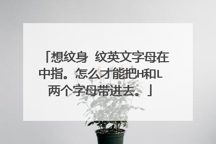 想纹身 纹英文字母在中指。怎么才能把H和L两个字母带进去。