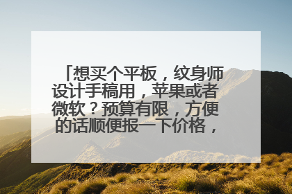 想买个平板，纹身师设计手稿用，苹果或者微软？预算有限，方便的话顺便报一下价格，二手平板可以考虑吗