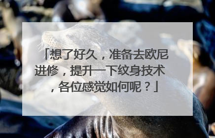 想了好久，准备去欧尼进修，提升一下纹身技术，各位感觉如何呢？