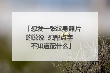 想发一张纹身照片的说说 想配点字 不知道配什么