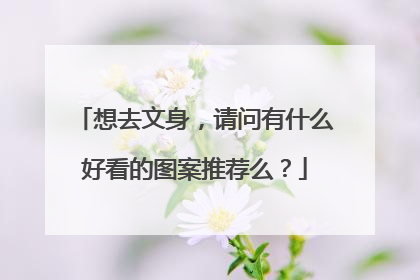 想去文身，请问有什么好看的图案推荐么？