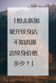 想去新加坡开纹身店 不知道那边纹身价格多少？
