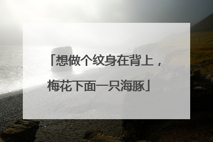 想做个纹身在背上，梅花下面一只海豚
