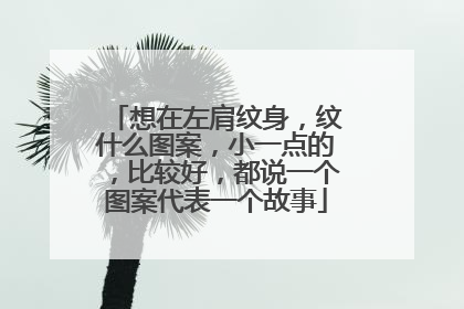 想在左肩纹身，纹什么图案，小一点的，比较好，都说一个图案代表一个故事