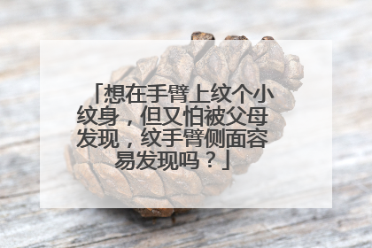 想在手臂上纹个小纹身，但又怕被父母发现，纹手臂侧面容易发现吗？