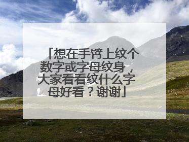 想在手臂上纹个数字或字母纹身，大家看看纹什么字母好看？谢谢
